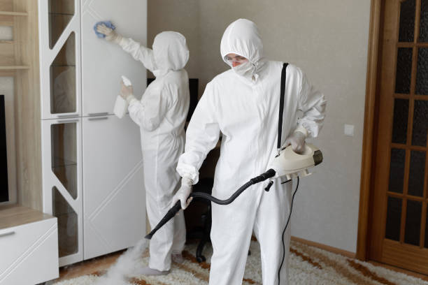 Attic Mold Removal in Grayling, MI