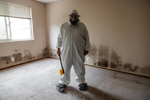 Best Toxic Mold Removal  in Grayling, MI